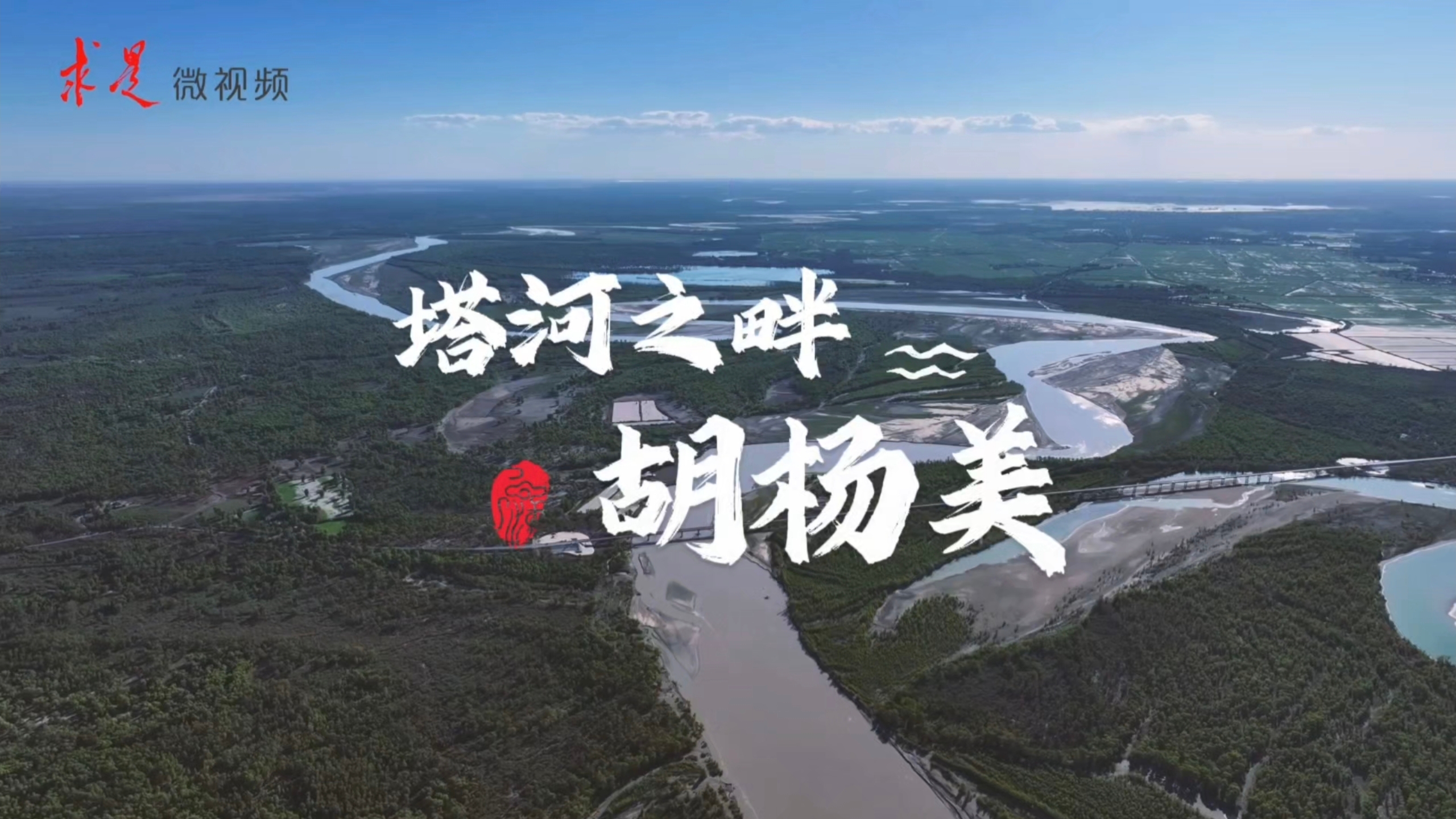 綠染荒漠 點沙成金｜塔河之畔胡楊美