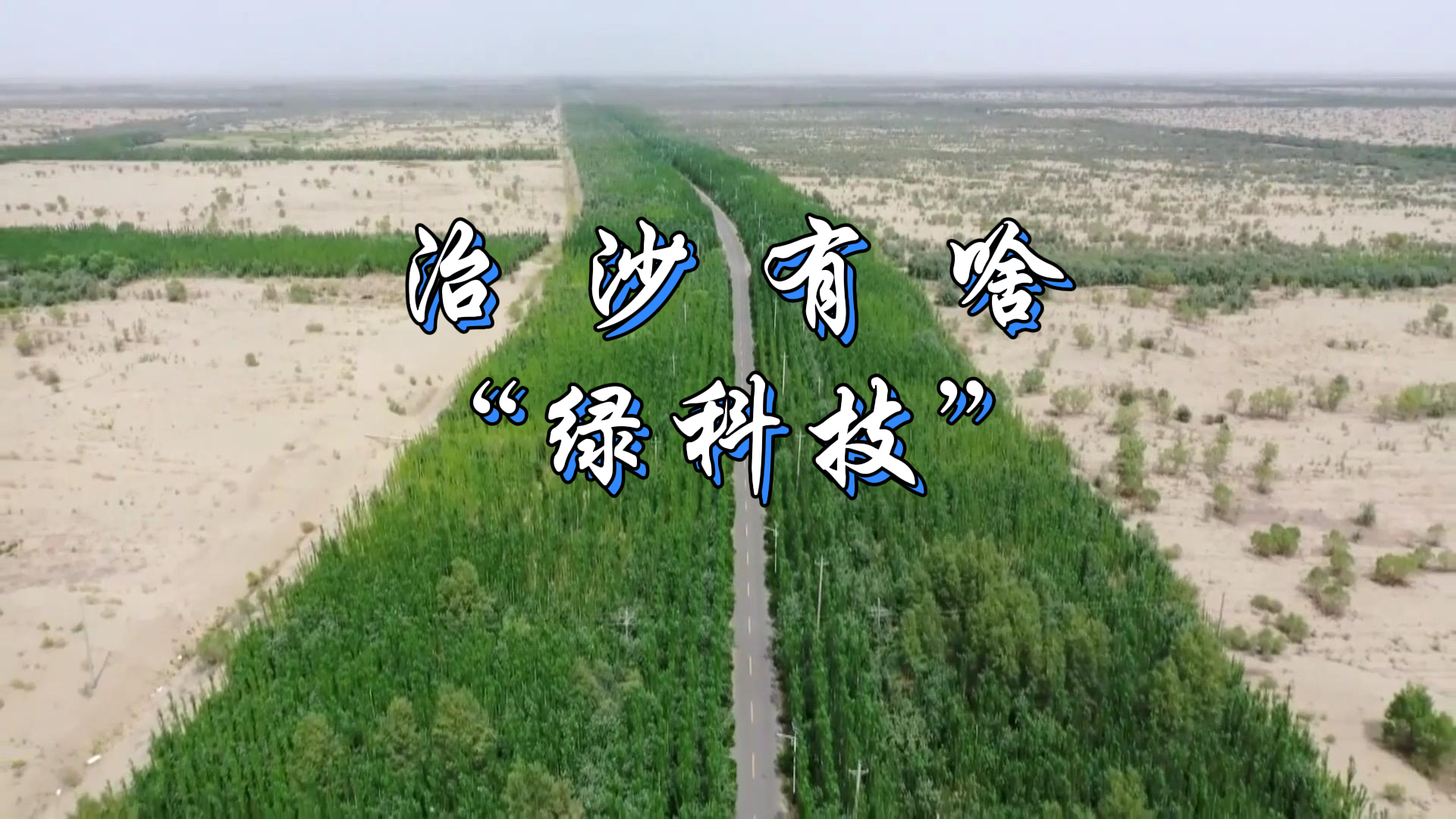 綠染荒漠 點沙成金｜治沙有啥“綠科技”